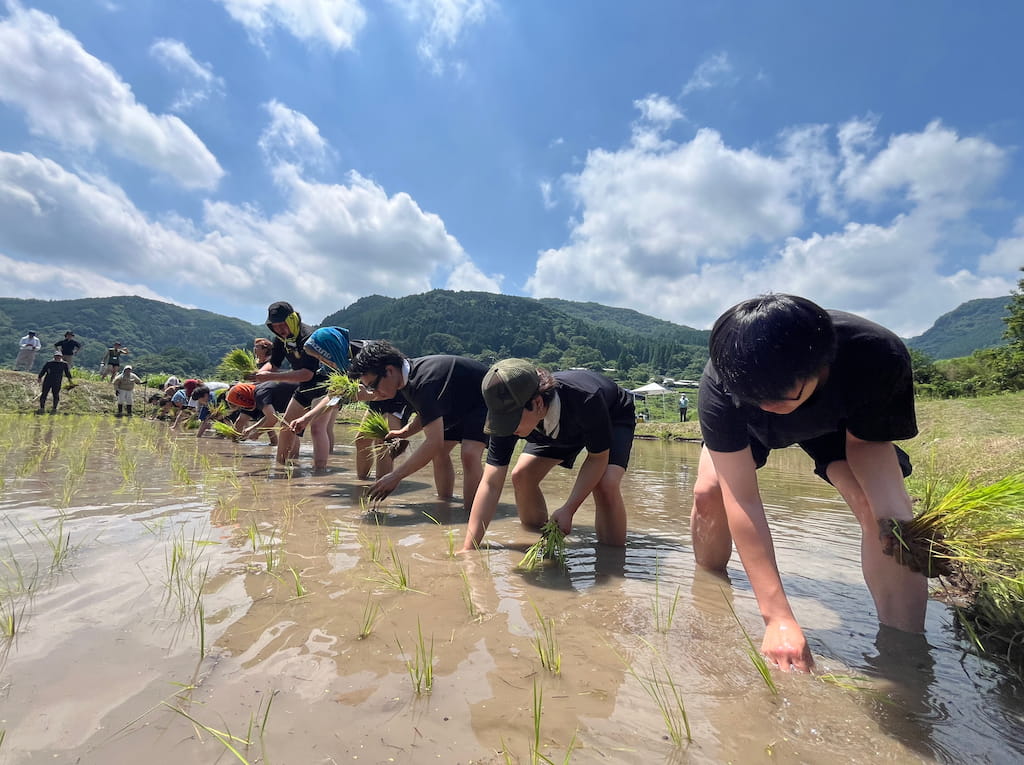 田植え体験